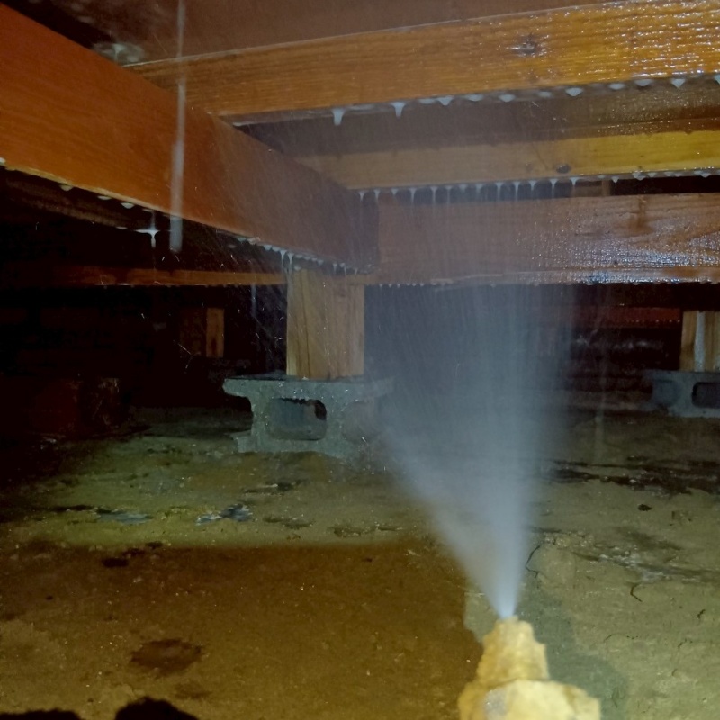 床下の木材にシロアリ駆除剤を散布する様子