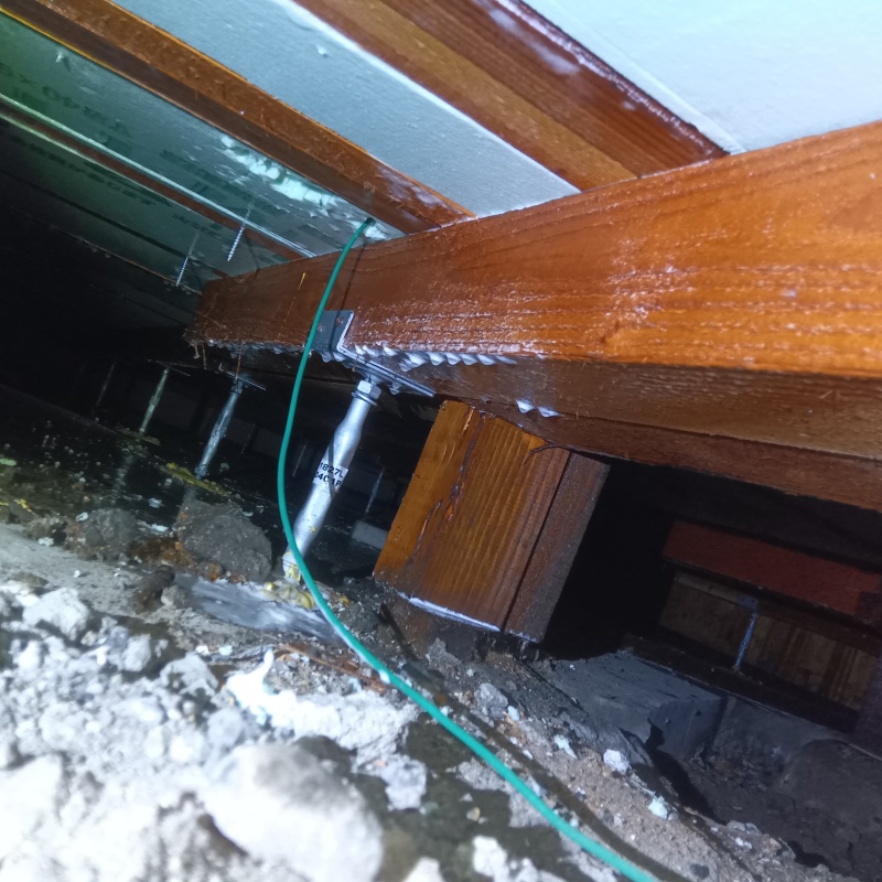 シロアリ駆除の施工事例（山口県岩国市錦見）