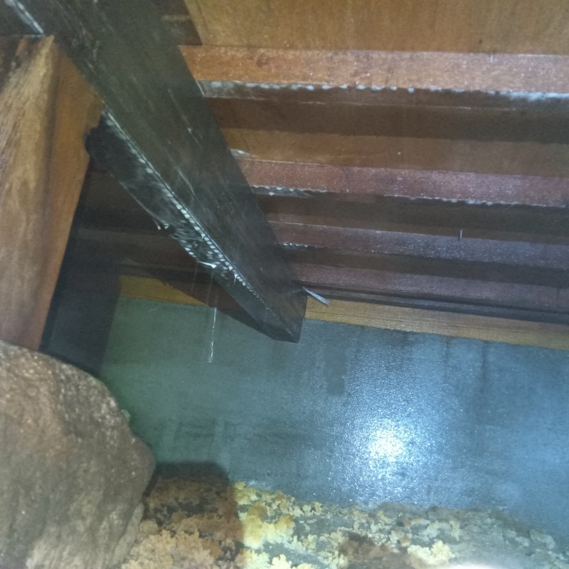 床下の基礎部分にシロアリ駆除剤を散布した様子