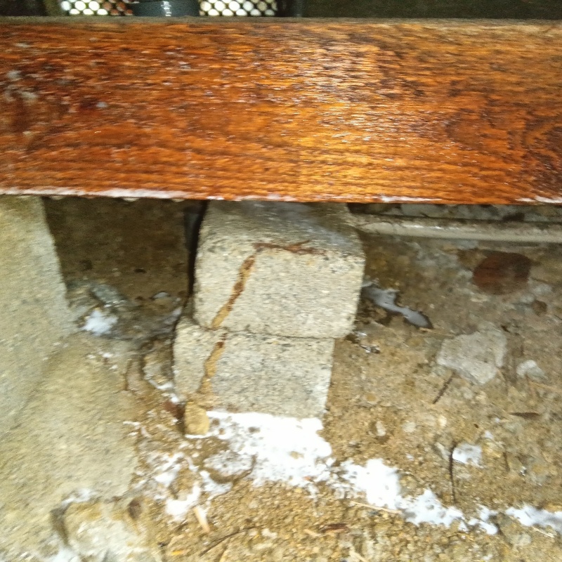 築年数40年のシロアリ駆除の施工事例（大阪府松原市三宅中）