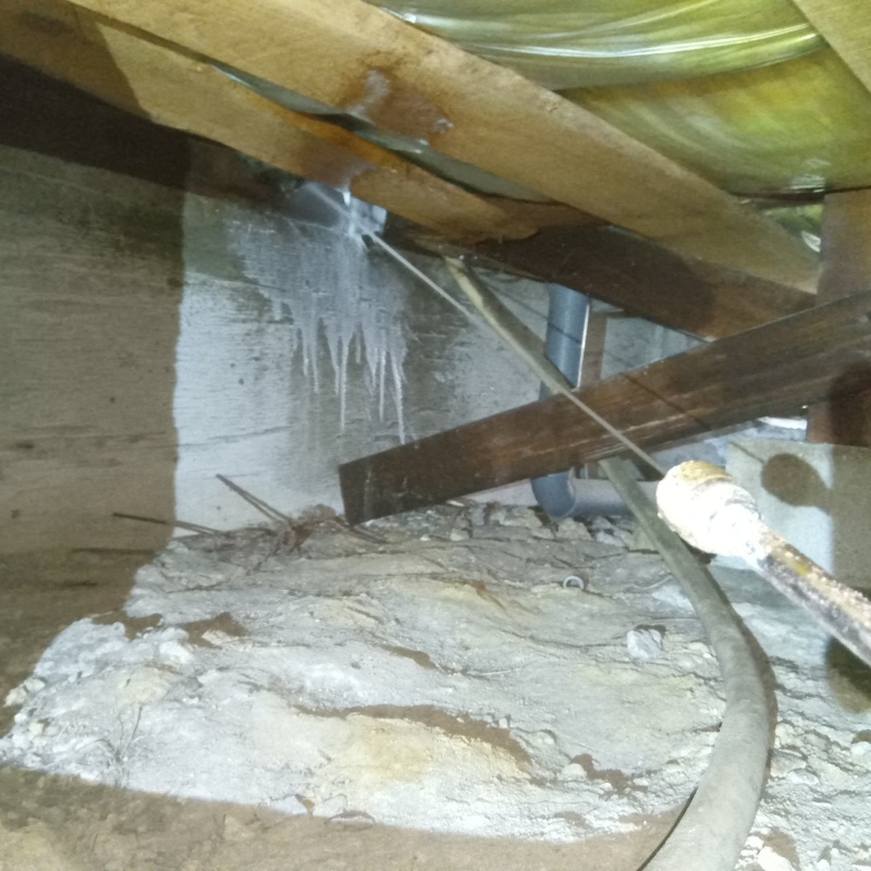 床下の木材にシロアリ駆除剤を散布する様子