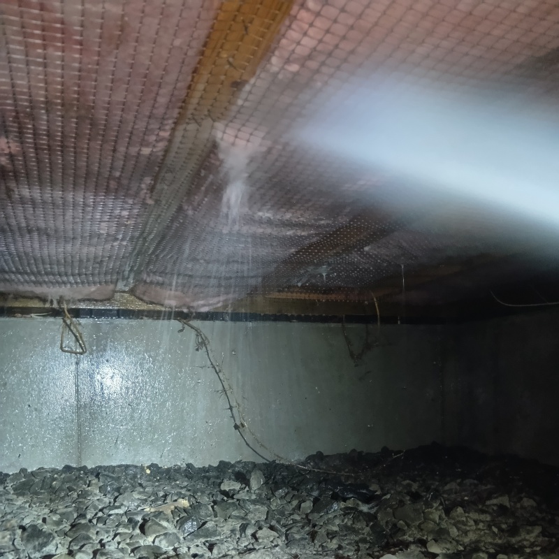 床下の断熱材にシロアリ駆除剤を散布する様子