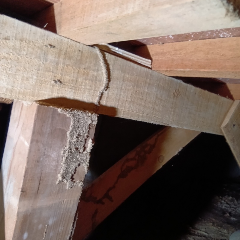 築年数40年のシロアリ駆除の施工事例（愛媛県今治市延喜）