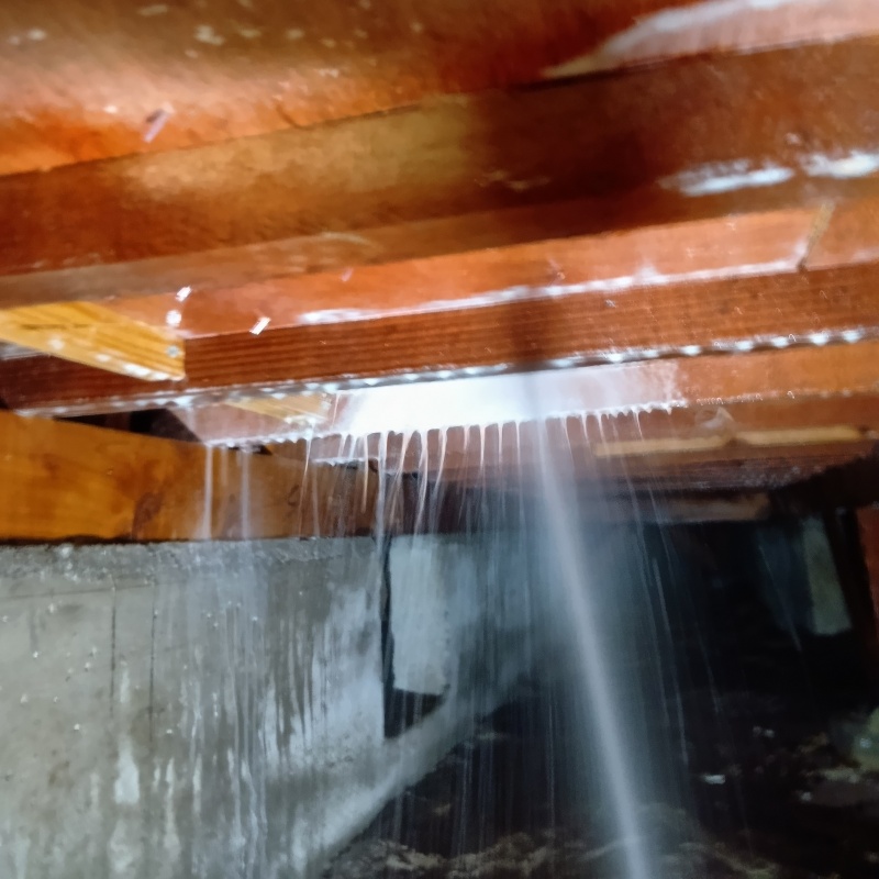 床下の木材にシロアリ駆除剤を散布する様子
