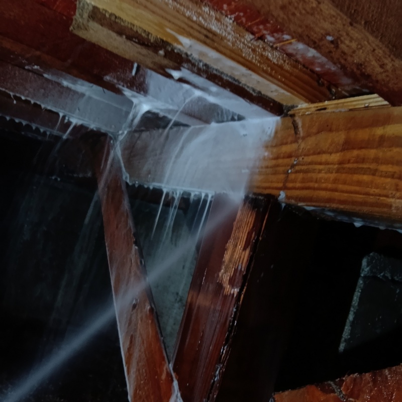 床下の木材にシロアリ駆除剤を散布する様子