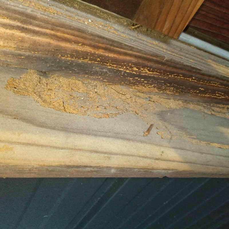 築年数100年のシロアリ駆除の施工事例（富山県高岡市通町）