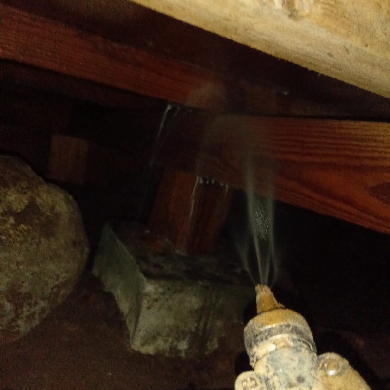 床下の木材にシロアリ駆除剤を散布する様子