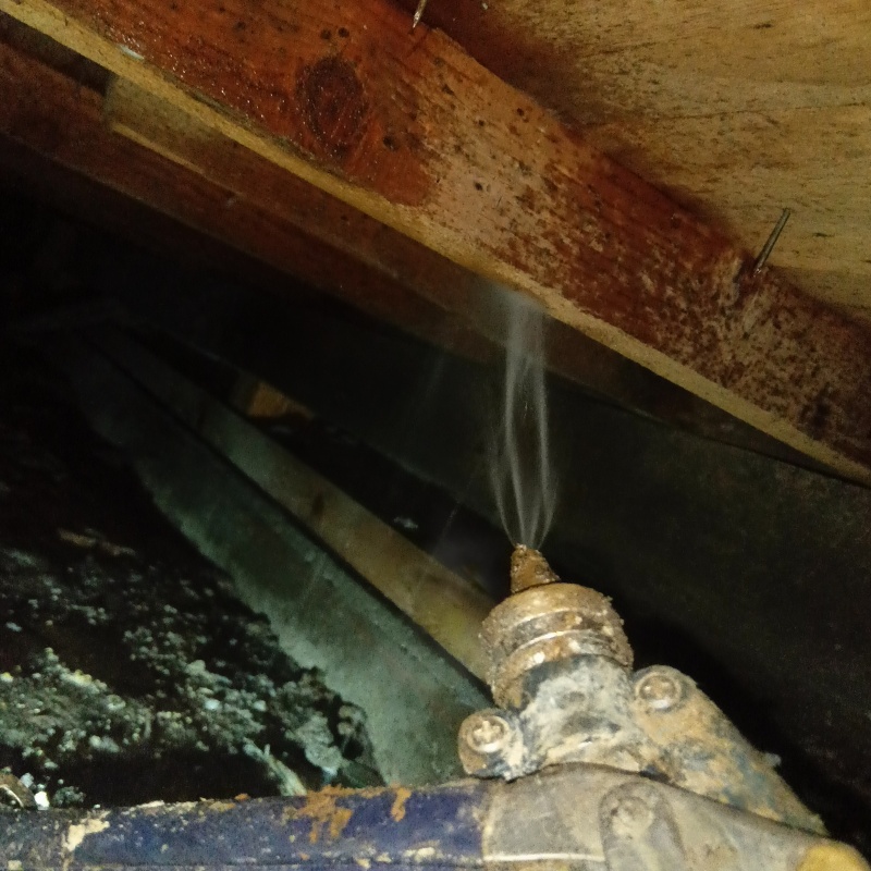 床下の木材にシロアリ駆除剤を散布する様子