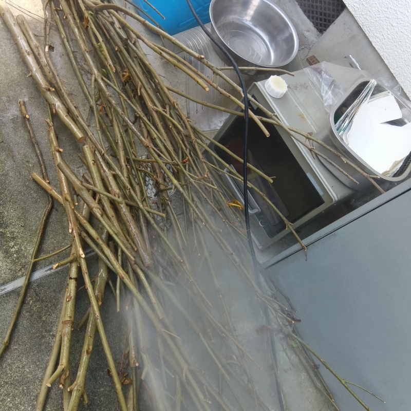 建物の外周にシロアリ駆除剤を散布