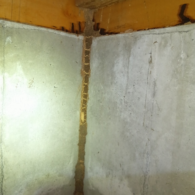 築年数30年のシロアリ駆除の施工事例（静岡県富士市0）