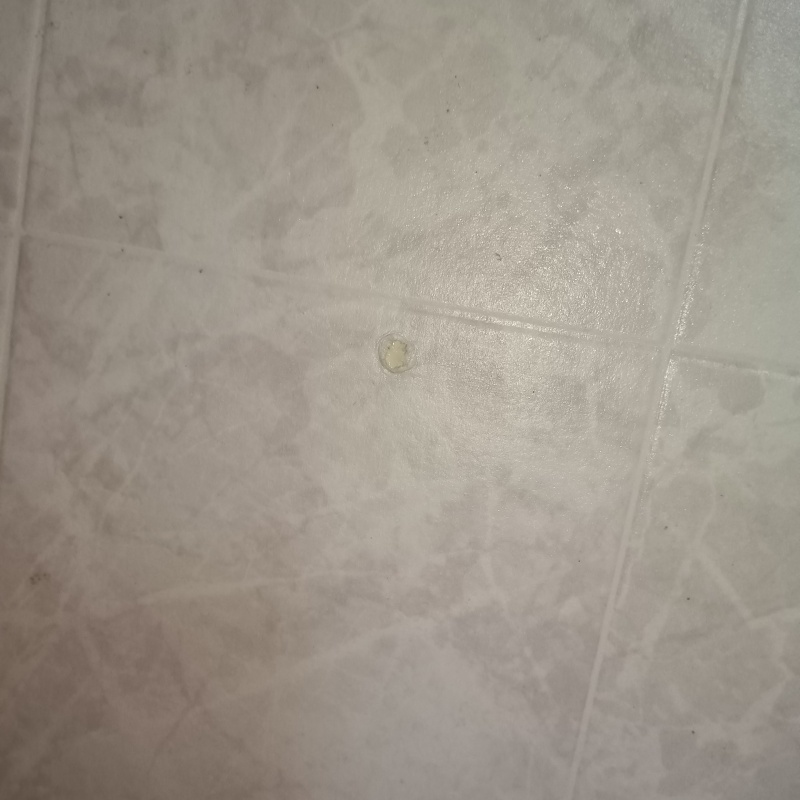 穿孔処理の穴をふさいだ様子