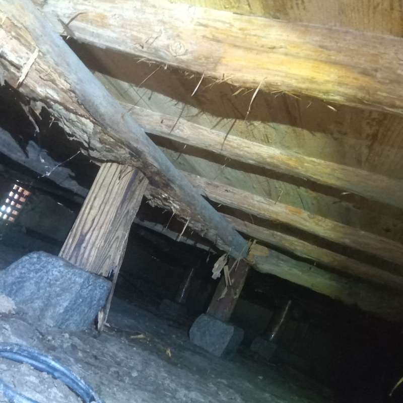 築年数130年のシロアリ駆除の施工事例（山口県大島郡周防大島町和田）