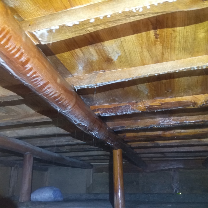 床下の基礎部分にシロアリ駆除剤を散布した様子