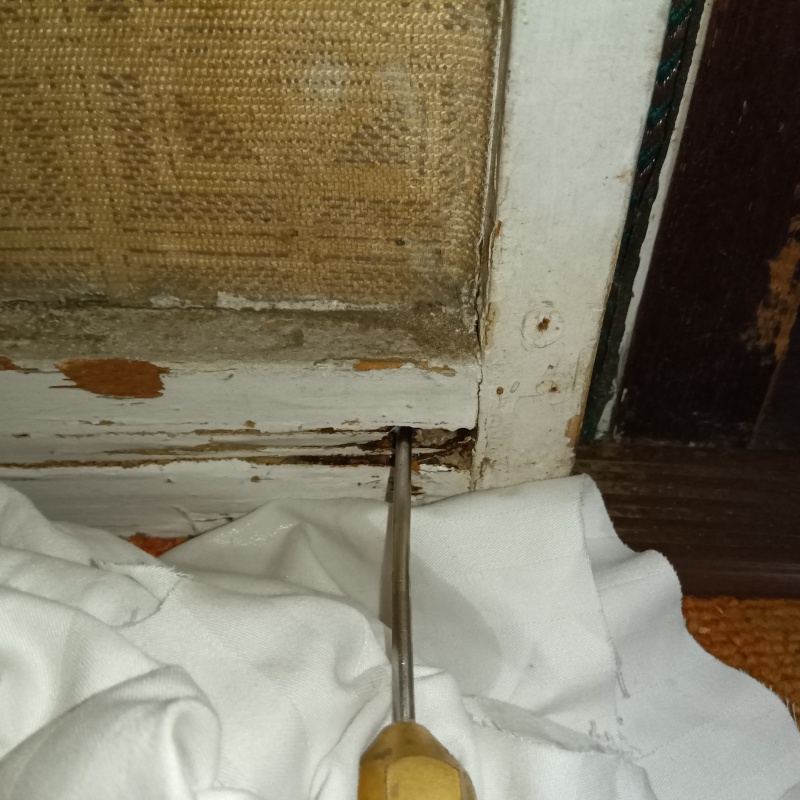 築年数50年のシロアリ駆除の施工事例（大阪府高槻市西町）