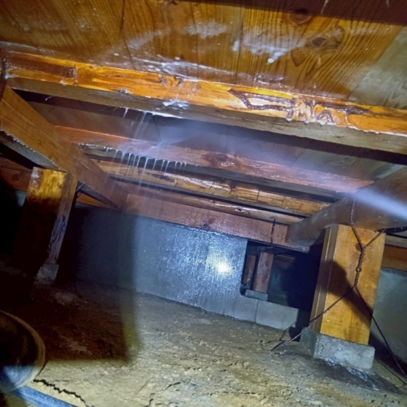 床下の木材にシロアリ駆除剤を散布する様子