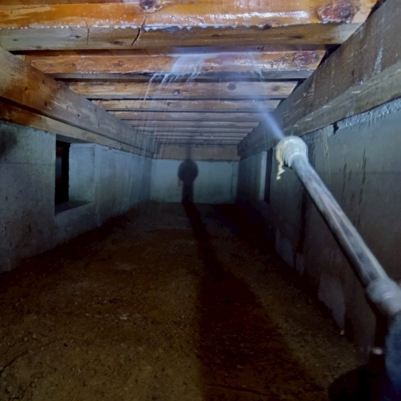 床下の木材にシロアリ駆除剤を散布する様子