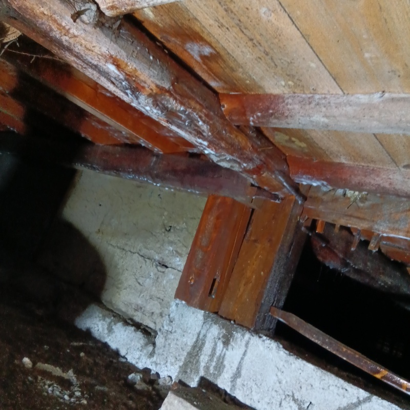 築年数50年のシロアリ駆除の施工事例（大阪府河内長野市西代町）