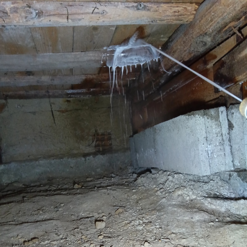 床下の木材にシロアリ駆除剤を散布する様子