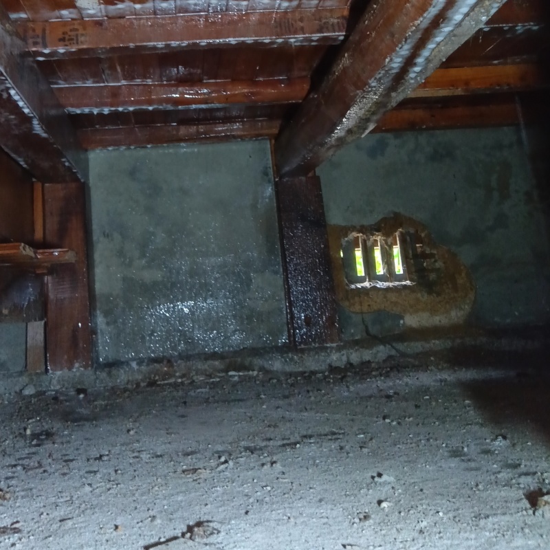 床下の基礎部分にシロアリ駆除剤を散布した様子