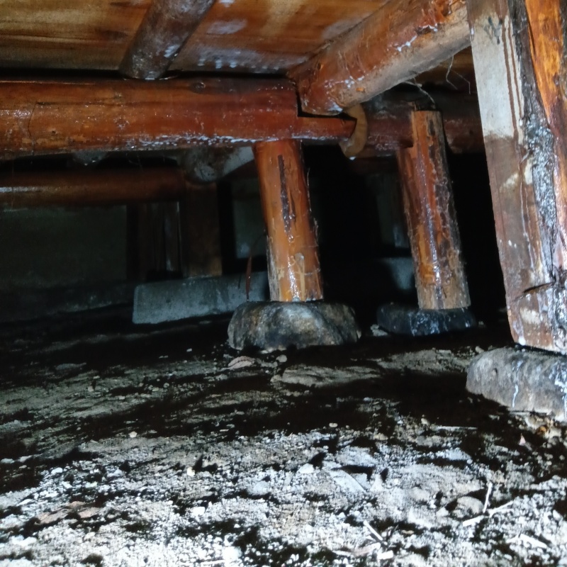 床下の土壌にシロアリ駆除剤を散布した様子