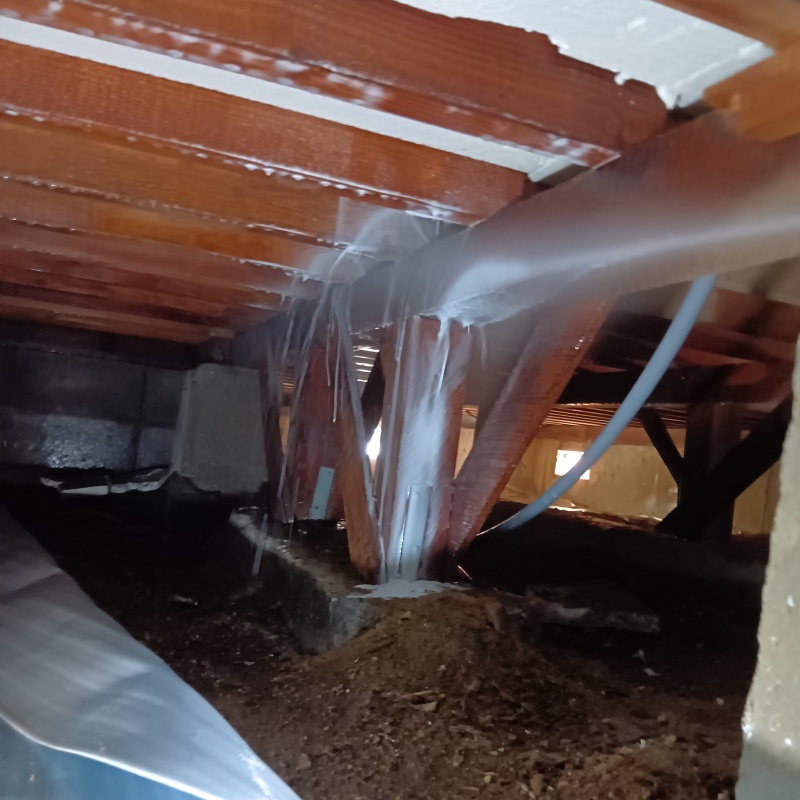 床下の木材に防蟻剤を散布する様子