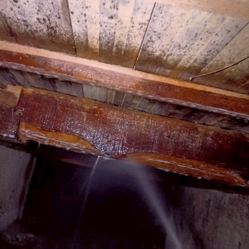 床下の木材にシロアリ駆除剤を散布する様子