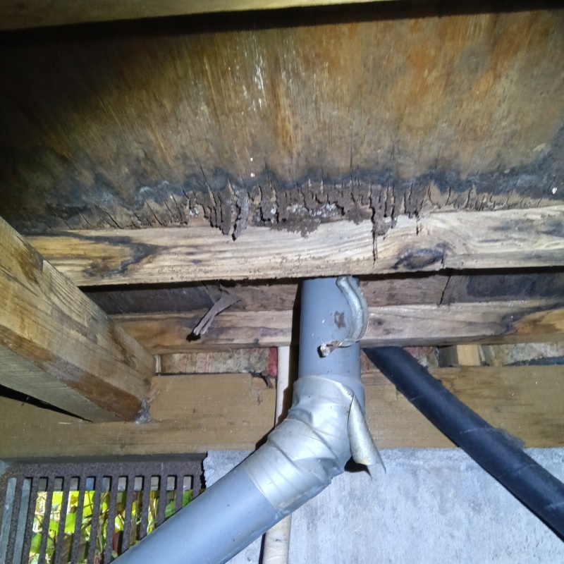 築年数50年のシロアリ駆除の施工事例（栃木県塩谷郡高根沢町平田）