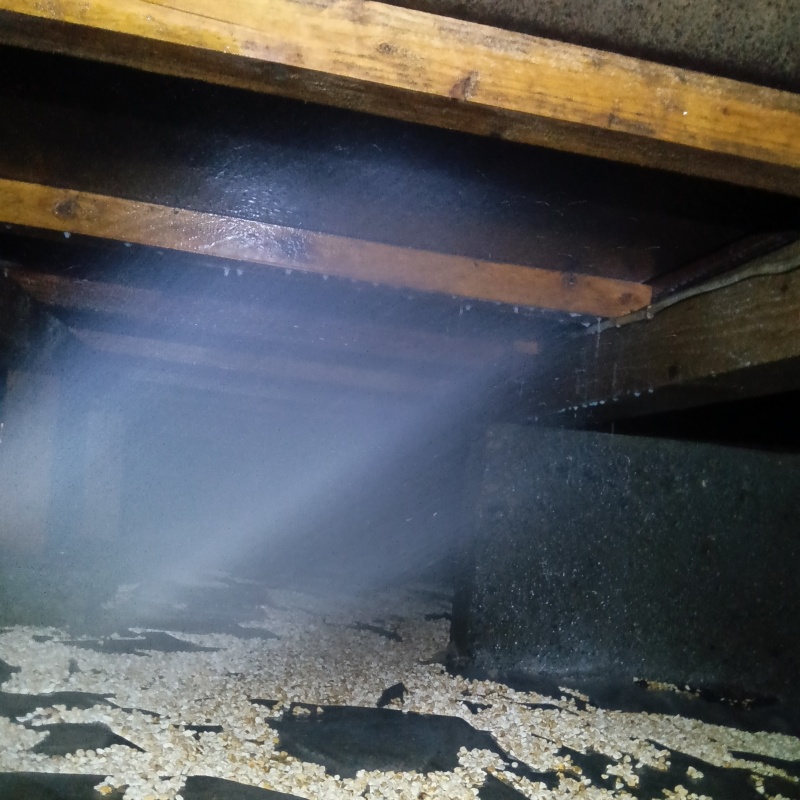 床下の木材にシロアリ駆除剤を散布する様子