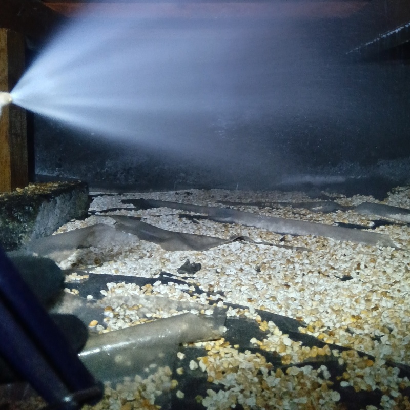 床下の土壌にシロアリ駆除剤を散布する様子