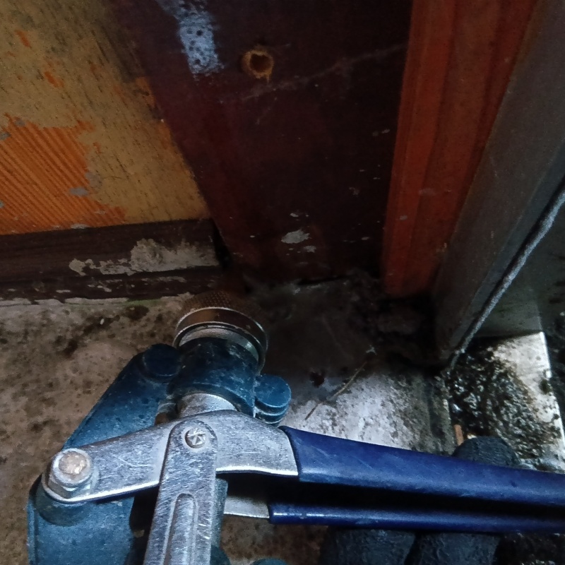 玄関の床にシロアリ駆除剤を注入する様子