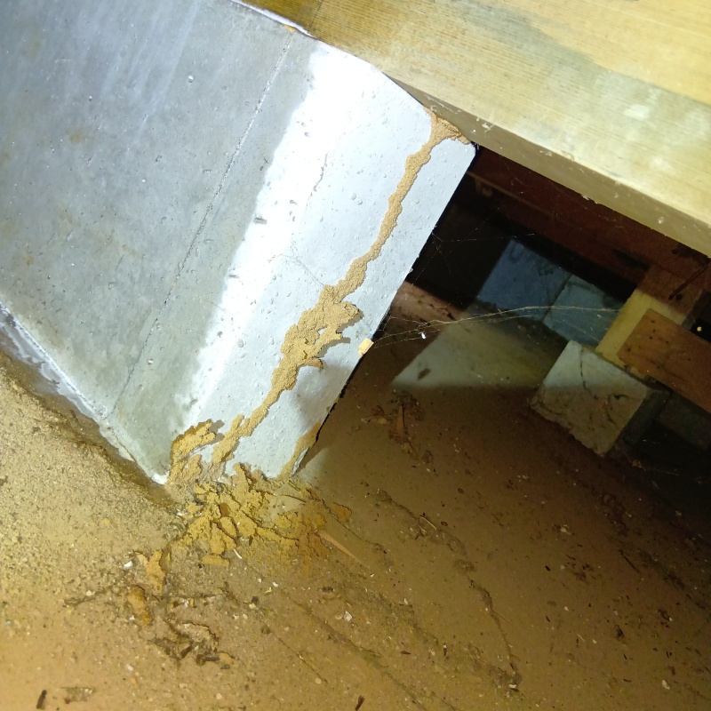 築年数28年のシロアリ駆除の施工事例（千葉県八街市八街ほ）