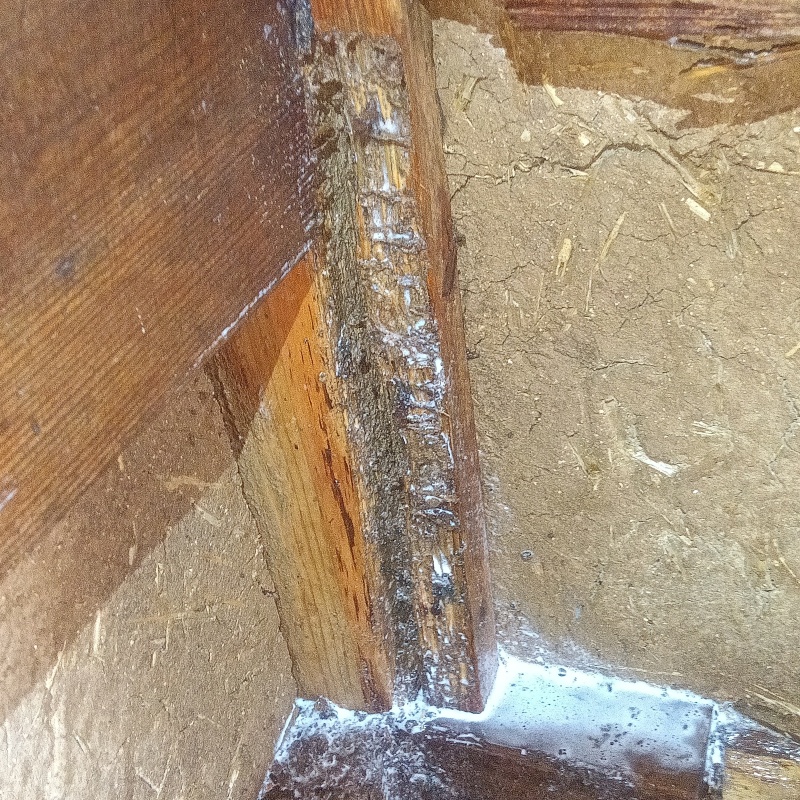 築年数70年のシロアリ駆除の施工事例（広島県広島市佐伯区五日市町下河内）