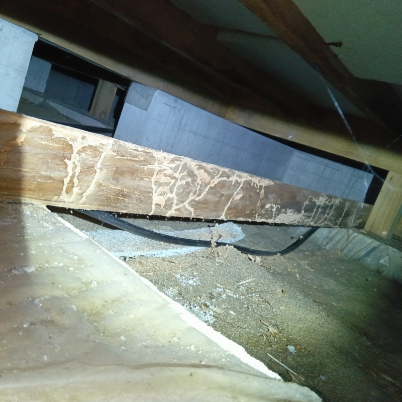 築年数30年のシロアリ駆除の施工事例（新潟県新潟市南区大通南）