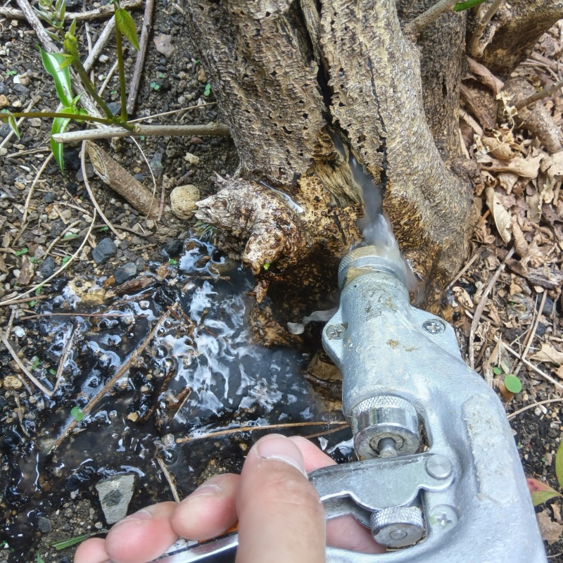 築年数30 年のシロアリ駆除の施工事例（大阪府東大阪市横小路町）