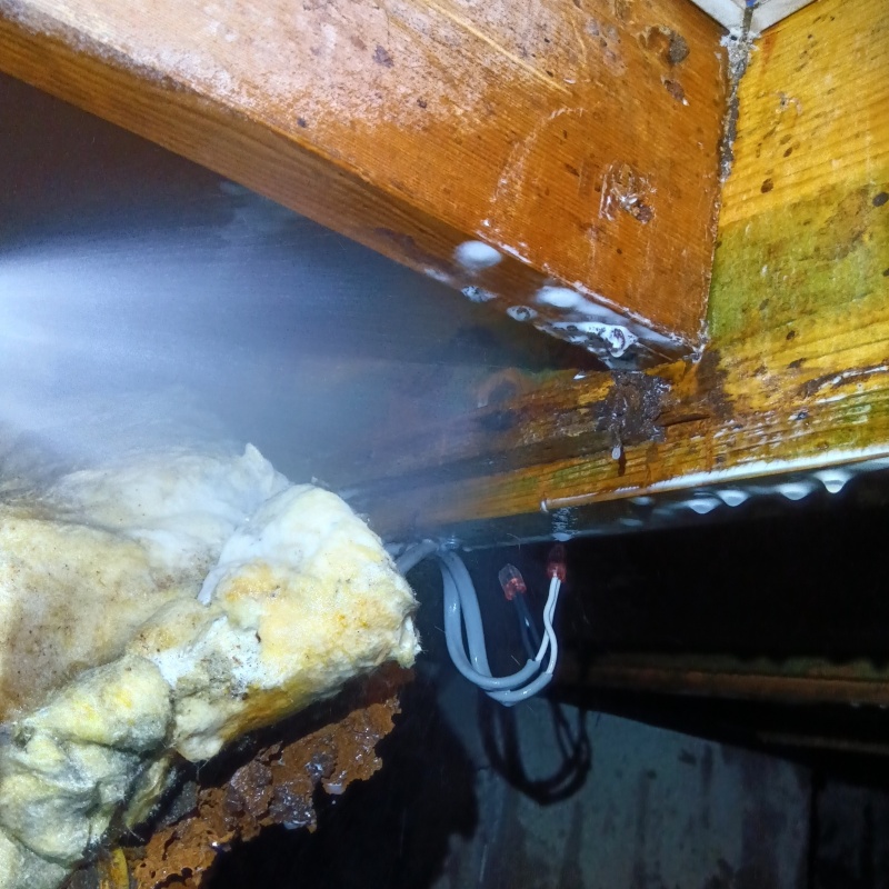 床下の木材にシロアリ駆除剤を散布する様子