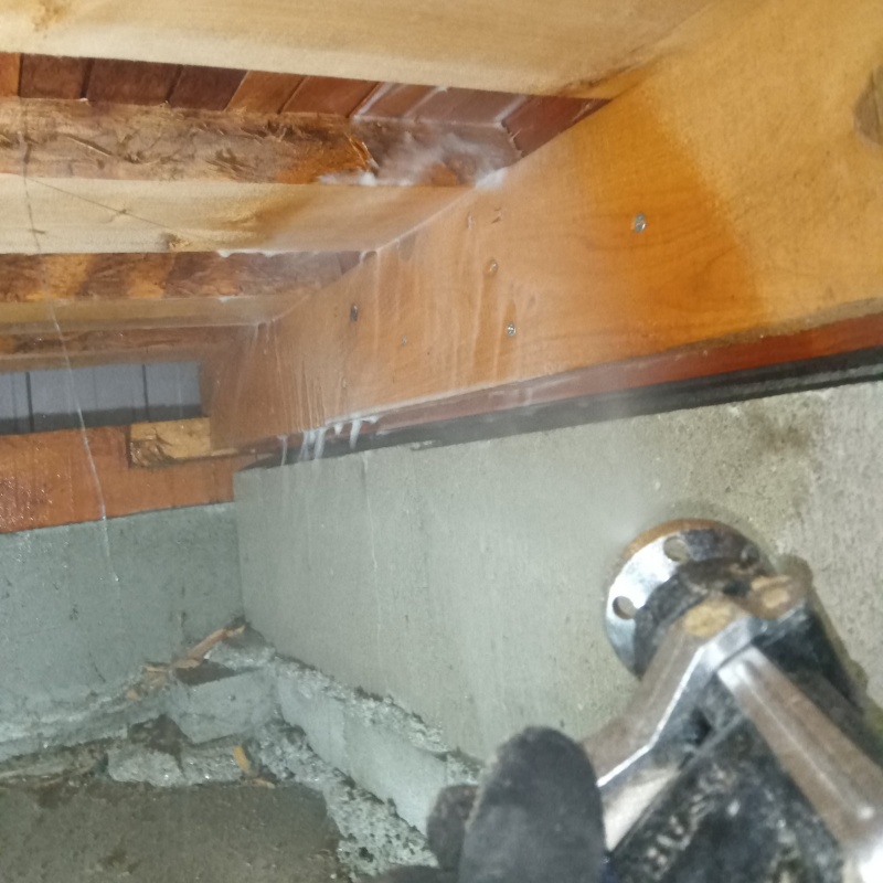 シロアリ駆除の施工事例（愛知県安城市根崎町北根）