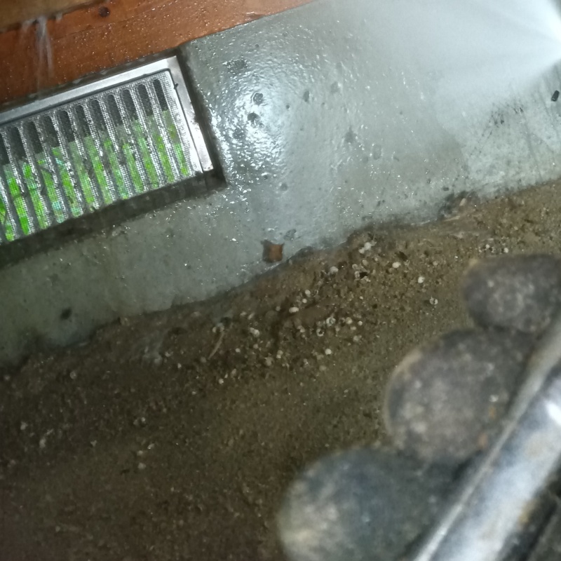 床下の基礎部分にシロアリ駆除剤を散布する様子