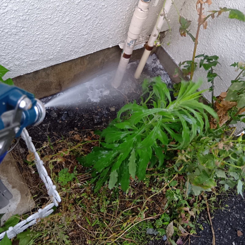 築年数40年のシロアリ駆除の施工事例（東京都小金井市貫井北町）