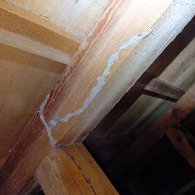 シロアリ駆除の施工事例（富山県富山市吉作）