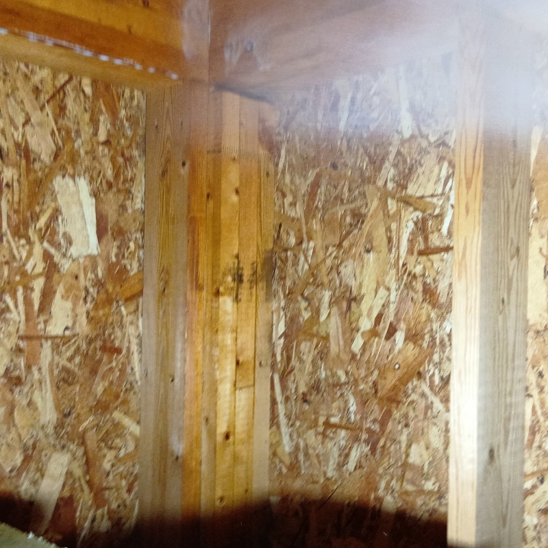 床下の木部にシロアリ駆除剤を散布