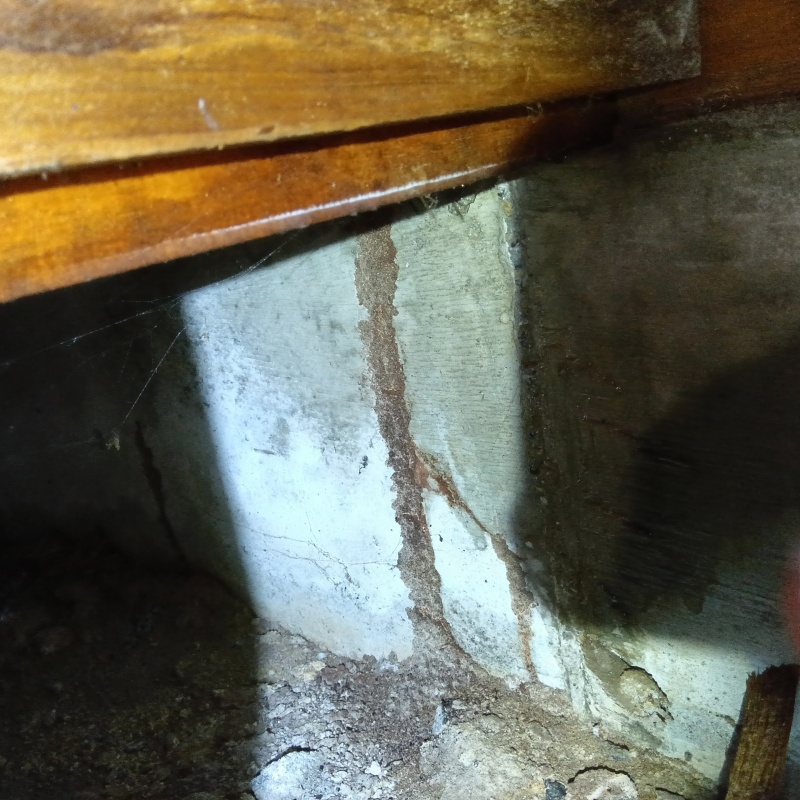 築年数40年のシロアリ駆除の施工事例（福島県郡山市0）