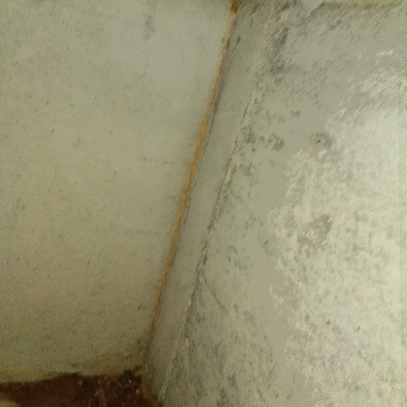 築年数40年のシロアリ駆除の施工事例（石川県小松市須天町）