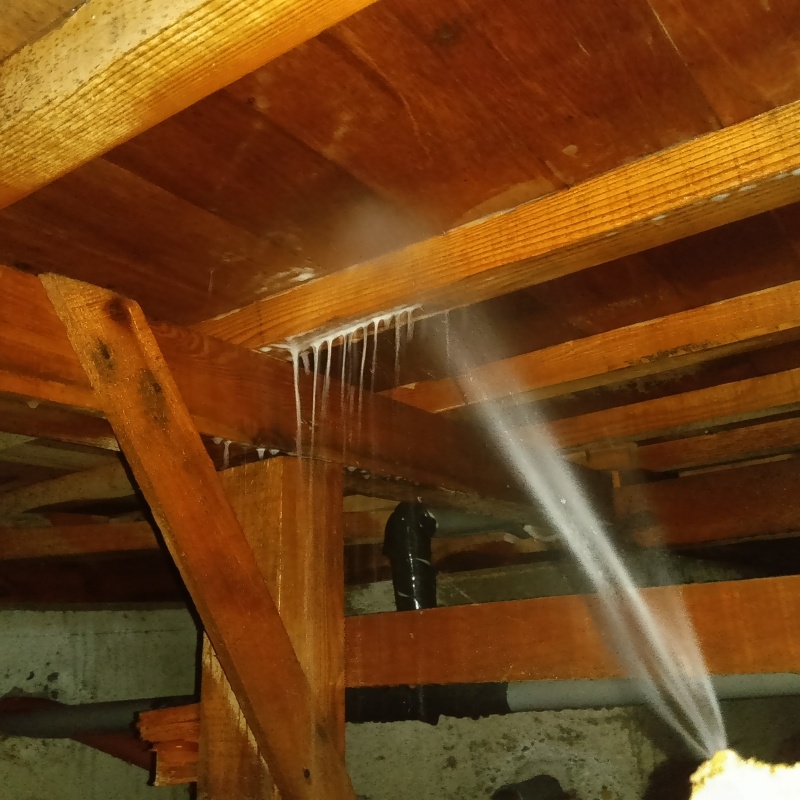 床下の木材にシロアリ駆除剤を散布