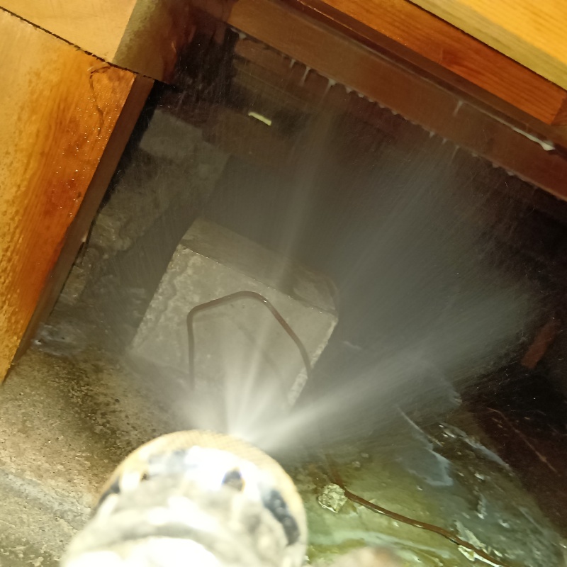 築年数30年のシロアリ駆除の施工事例（東京都三鷹市上連雀）