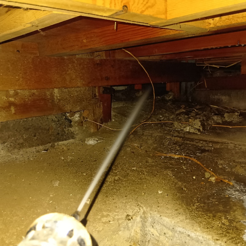 床下の木材にシロアリ駆除剤を散布