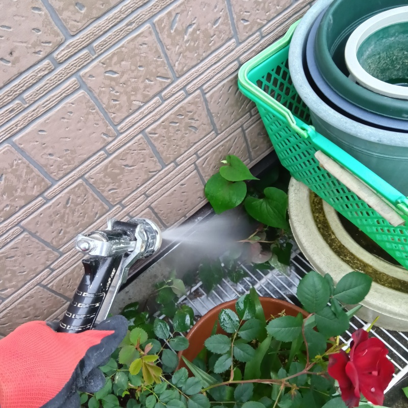 建物の外周にシロアリ駆除剤を散布