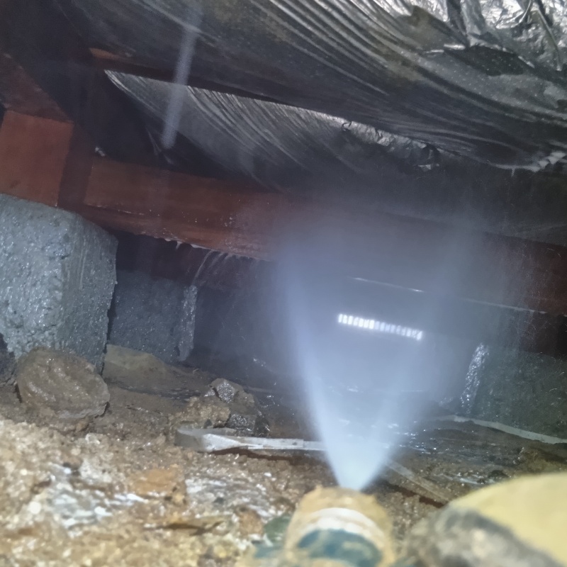 築年数30年のシロアリ駆除の施工事例（山梨県甲斐市龍地）