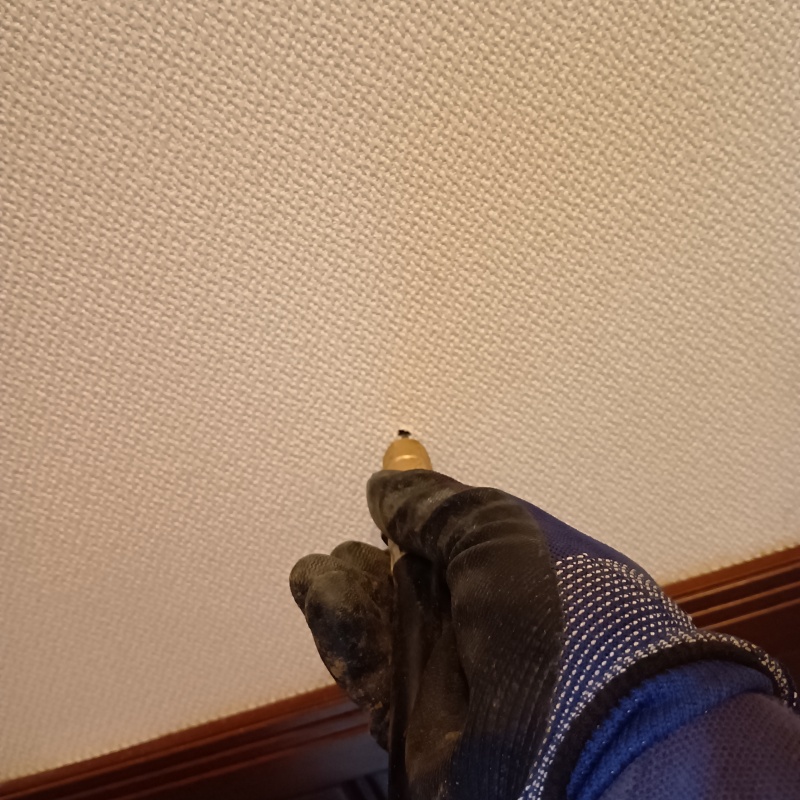 壁にシロアリ駆除剤を注入