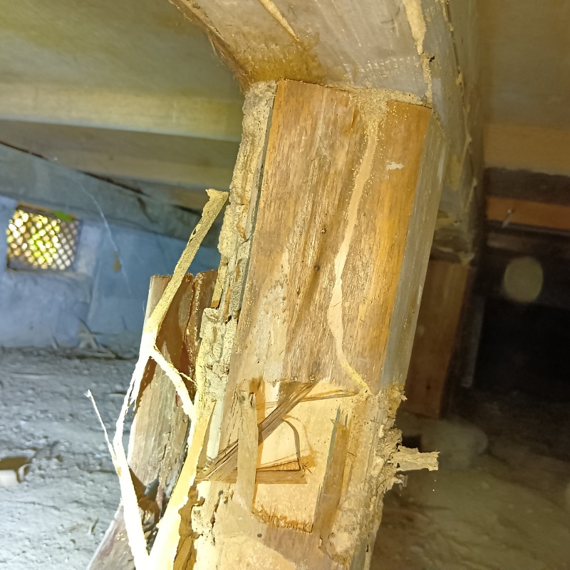 シロアリ駆除の施工事例（三重県桑名市長島町松ケ島）