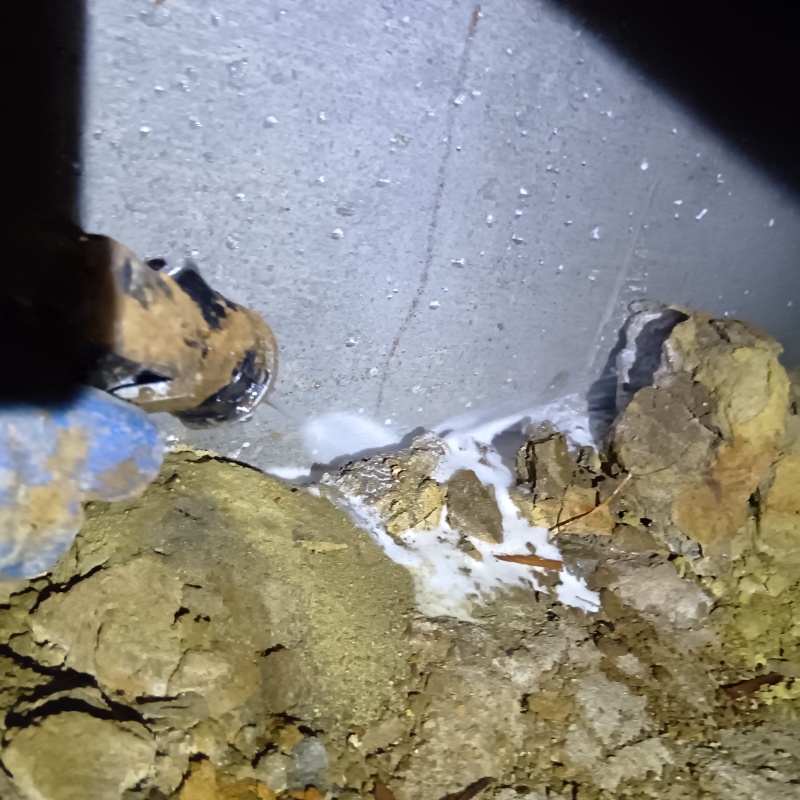 地面にシロアリ駆除剤を散布